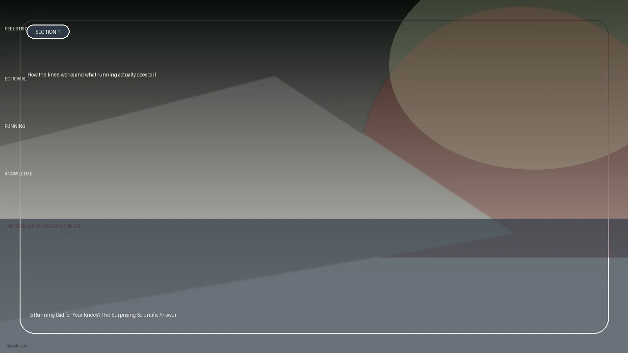 How the knee works and what running actually does to it supporting running article image