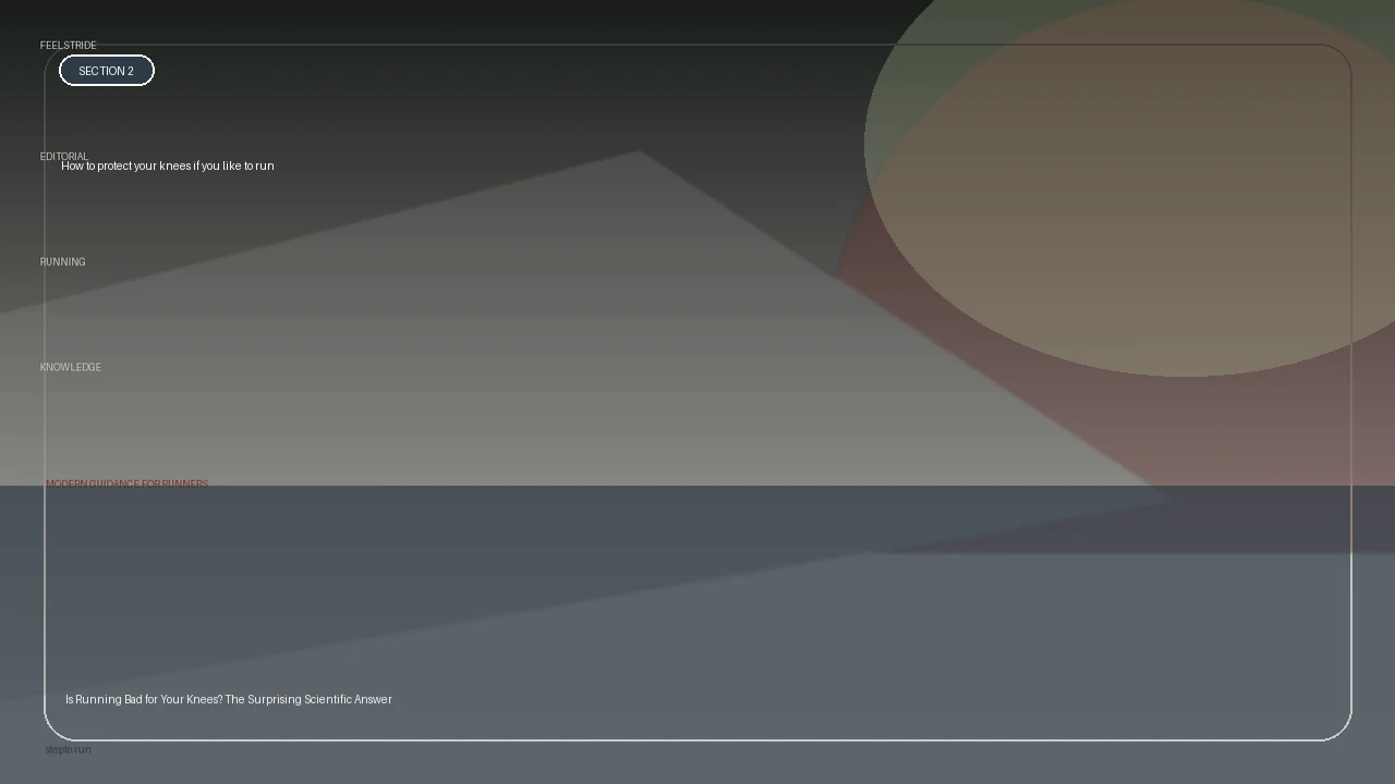 How to protect your knees if you like to run supporting running article image