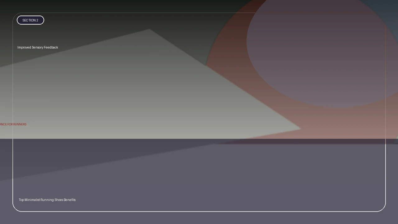 Improved Sensory Feedback supporting running article image