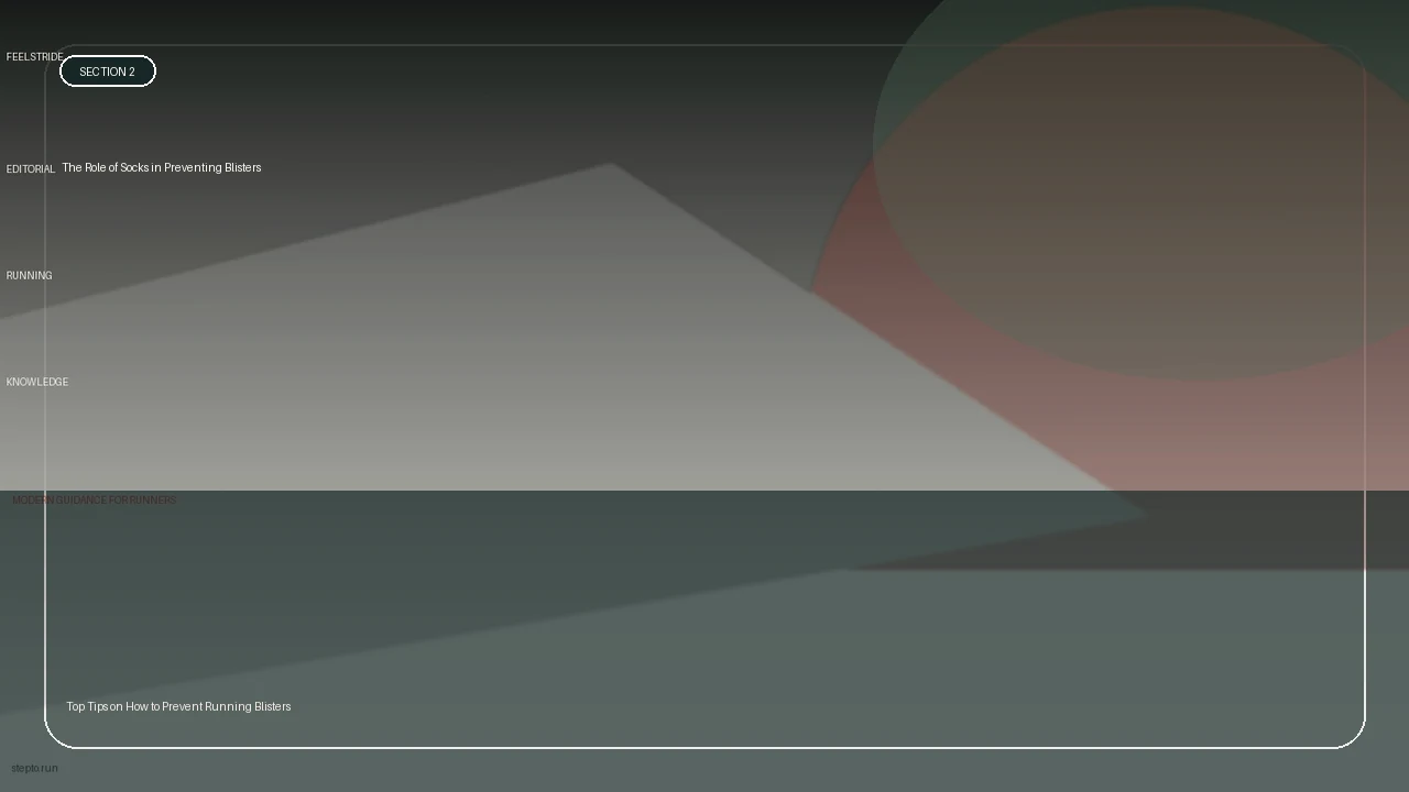 The Role of Socks in Preventing Blisters supporting running article image